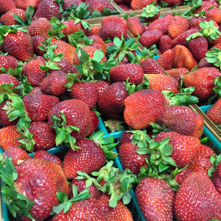 Vegan user review of Pedrick Produce in Dixon. Produce stand right off the highway!