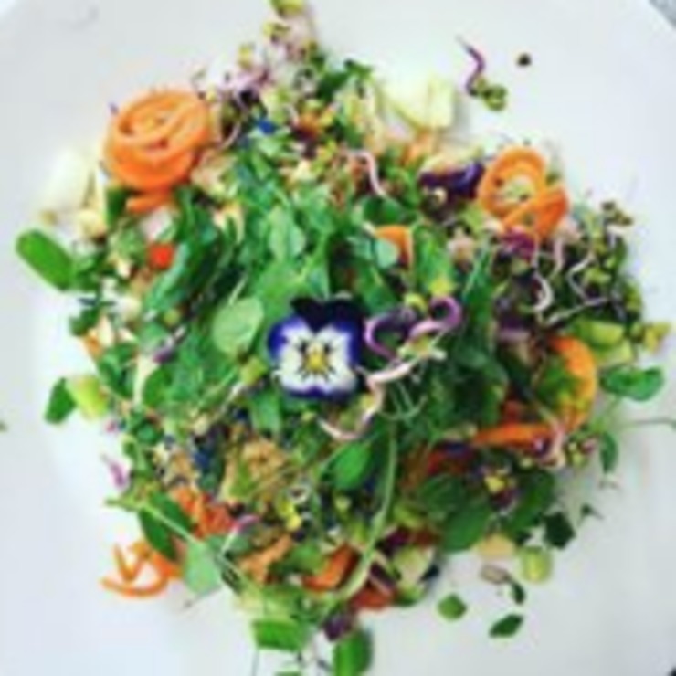 Vegan user review of Earthlings in Bolton. 
