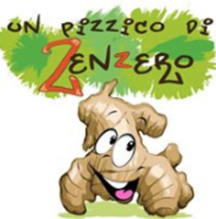 Vegan user review of Un Pizzico di Zenzero in Alba. 