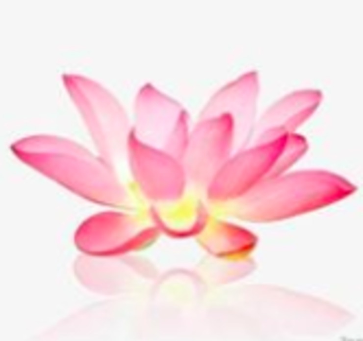 Vegan user review of Lotus Garden in Eugene. 