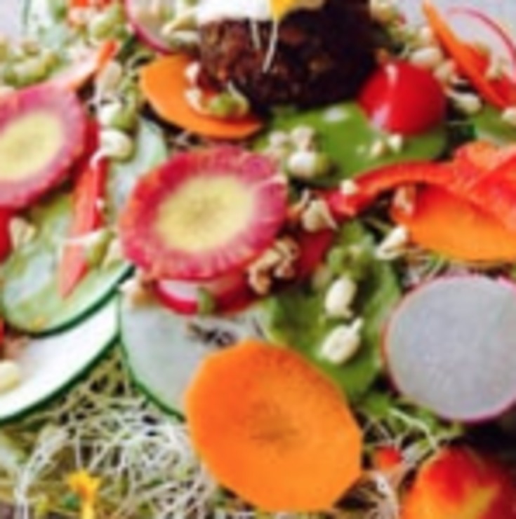 Vegan user review of Beauty of Sprouts in Sarasota. 