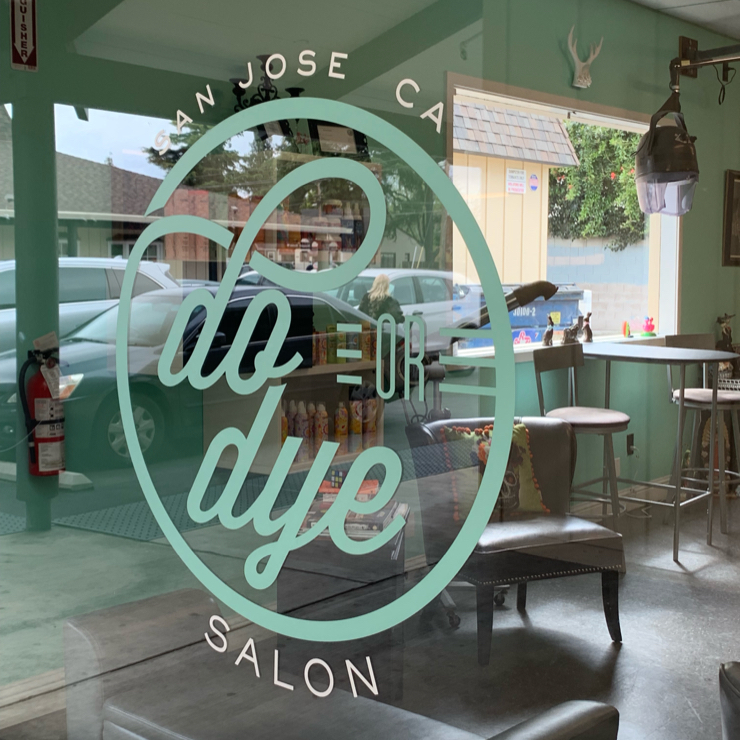 Vegan user review of Do or Dye in San Jose. Vegan shampoo, conditioner & other hair products. 