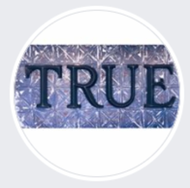 Vegan user review of True Bistro in Somerville. 