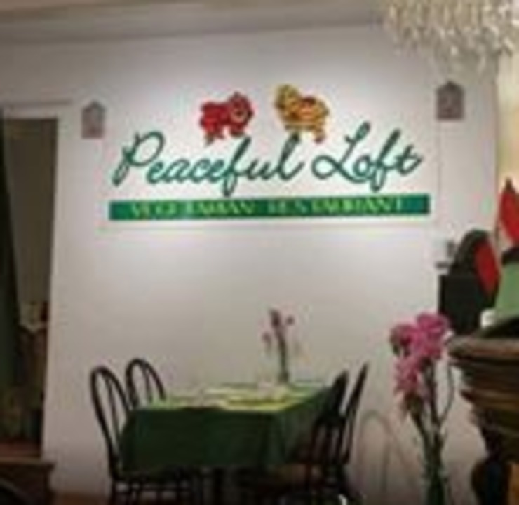 Vegan user review of Peaceful Loft in St. John's. 