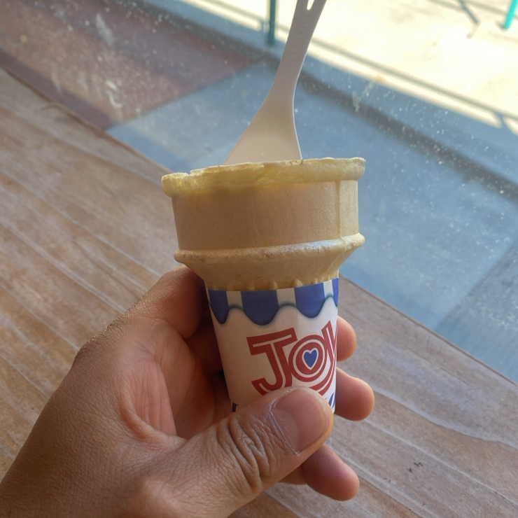 Vegan user review of Easy Breezy Frozen Yogurt Los Gatos. 