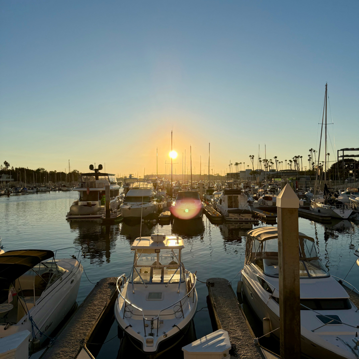 Vegan user review of PLANTA Cocina. Poke Bowl is my favourite dish so far. The bacon mushroom though was an interesting add though. It was my birthday and they brought me a surprise sticky toffee pudding too. Great service. As a designer I appreciated the interior design which is stunning and glows beautifully with later day sun.